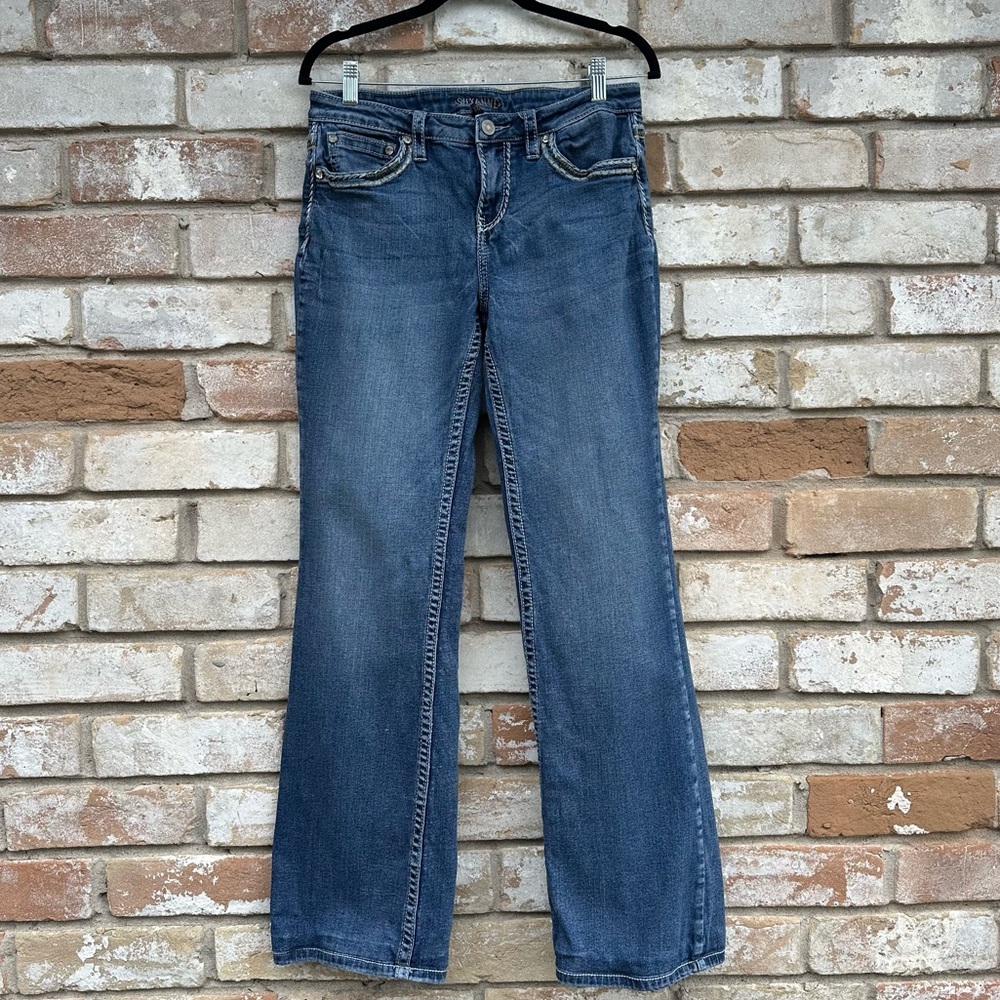 SHAYANNE Embroidered Embellished Jeans 30 LONG